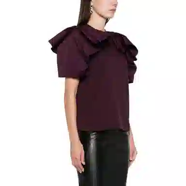 Alexander McQueen T