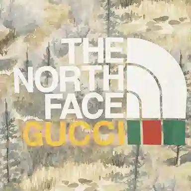GUCCI x THE NORTH FACE SS22 T