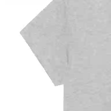 Polo Ralph Lauren LogoV T