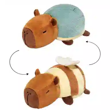 25cm35cm