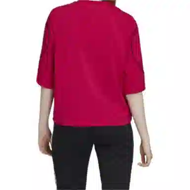 adidas originals Crop T Shirt LogoT