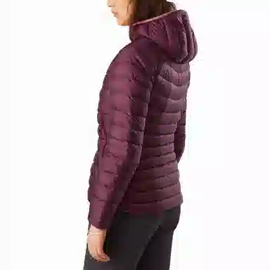 Arcteryx Cerium LT Hoody