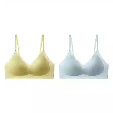 俞兆林 无痕凉感透气小胸聚拢上托防下垂收副乳无钢圈文胸 女款 组合装