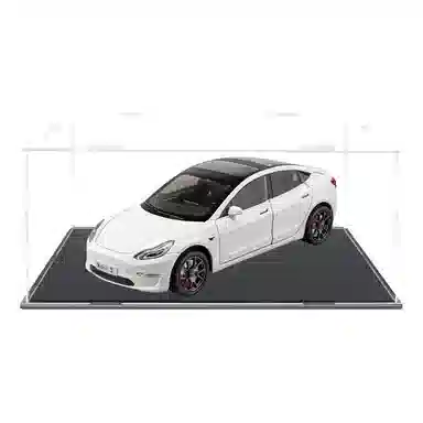 TY MODELS Tesla Model3 124