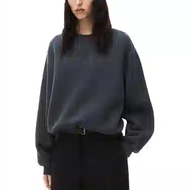 Alexander Wang SS24 Puff Logo Sweatshirt