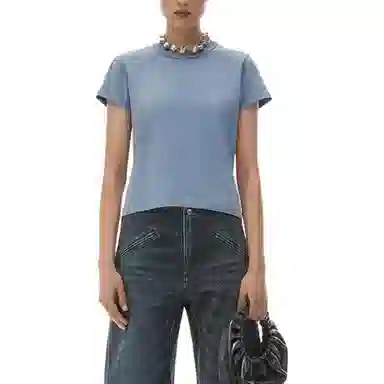 alexander wang FW24 T