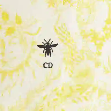 DIOR DIORIVIERA FW23