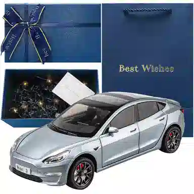 TY MODELS Tesla Model3