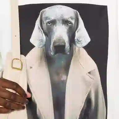 MaxMara x William Wegman Bacco Sweatshirt