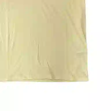 Polo Ralph Lauren LogoV T