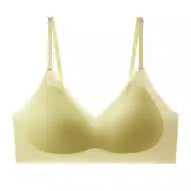 俞兆林 无痕凉感透气小胸聚拢上托防下垂收副乳无钢圈文胸 女款 组合装