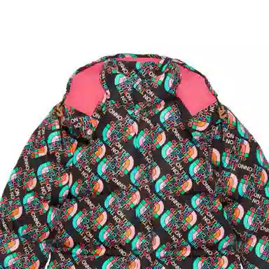GUCCI x THE NORTH FACE FW22 Logo
