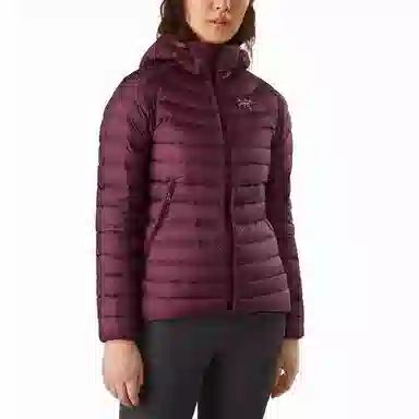 Arcteryx Cerium LT Hoody