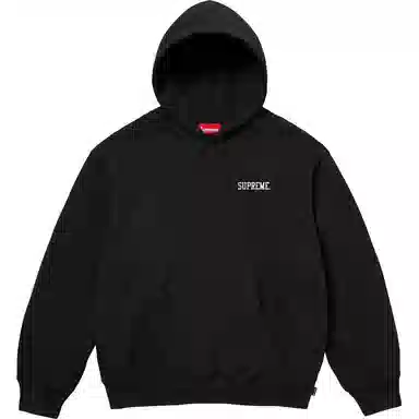 Supreme FW24 WEEK4 Anarchy Hooded Sweatshirt