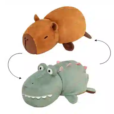 25cm35cm