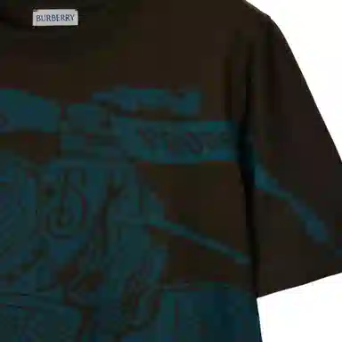 Burberry Logo T