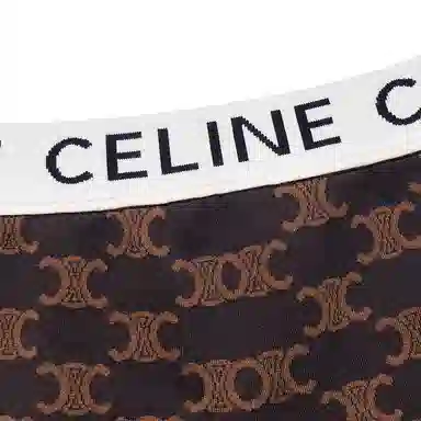 CELINE FW22 Logo