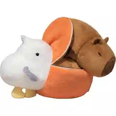25cm30cm