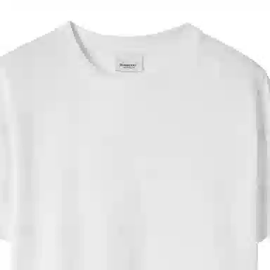 Burberry SS23 T