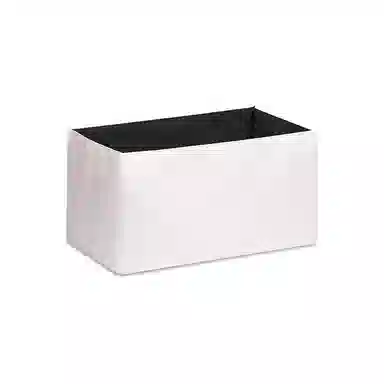 FANJI DIOR BookMini