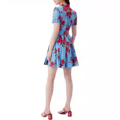 DIANE VON FURSTENBERG V