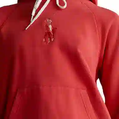 Polo Ralph Lauren Hoodie Red