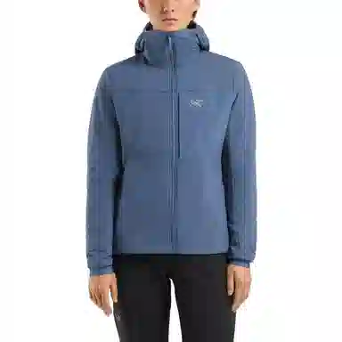 Arcteryx Proton Hoddy