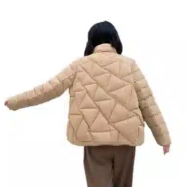 鸭鸭 通勤立领纯色短款长袖羽绒服 女款