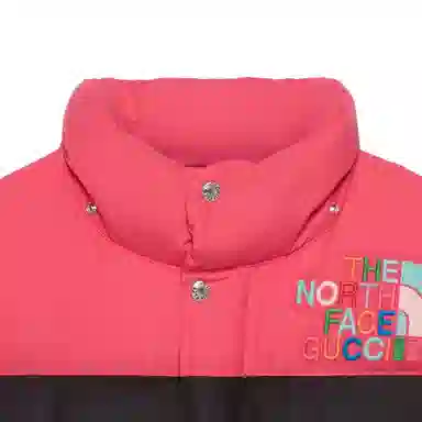 GUCCI GUCCI x THE NORTH FACE x The North Face FW22
