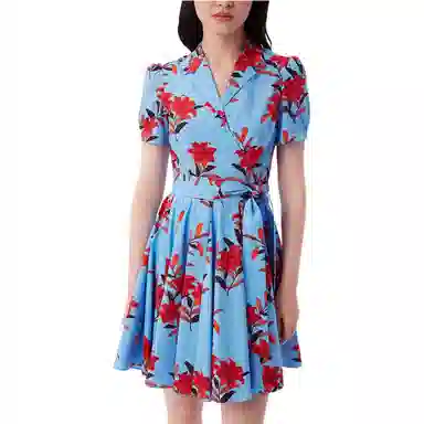 DIANE VON FURSTENBERG V