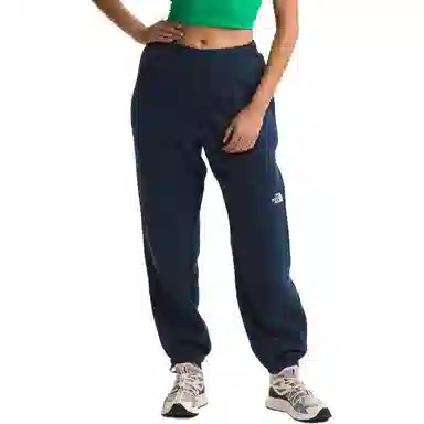 THE NORTH FACE Ripstop Denali Pants Logo