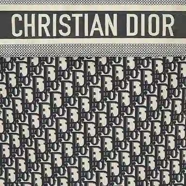 DIOR Oblique