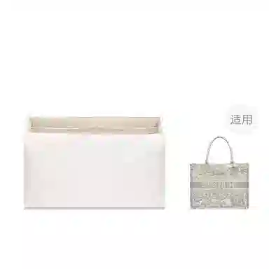 FANJI DIOR BookMini