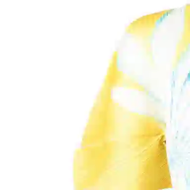 PLEATS PLEASE ISSEY MIYAKE