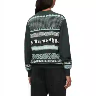 LOEWE Sweater In Wool