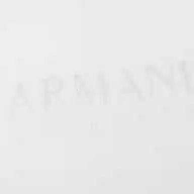 ARMANI EXCHANGE SS24 LogoT