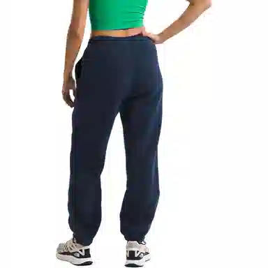 THE NORTH FACE Ripstop Denali Pants Logo