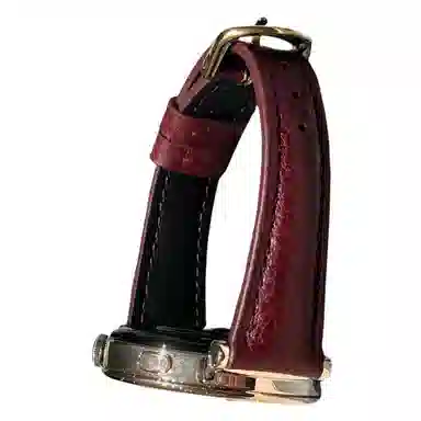 Antey gt4gt3gt2gt1GT3 ProGT2 Prowatch4Prowatch32