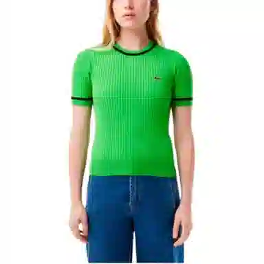 Lacoste Colorblock Crewneck T-shirt