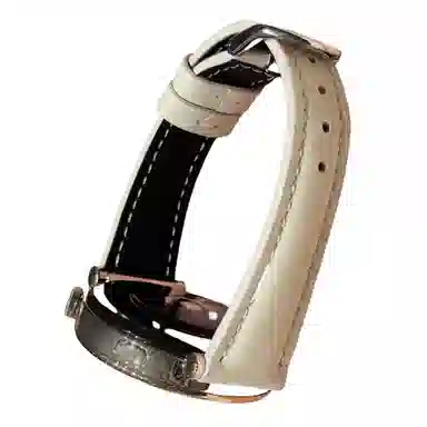 Antey gt4gt3gt2gt1GT3 ProGT2 Prowatch4Prowatch32