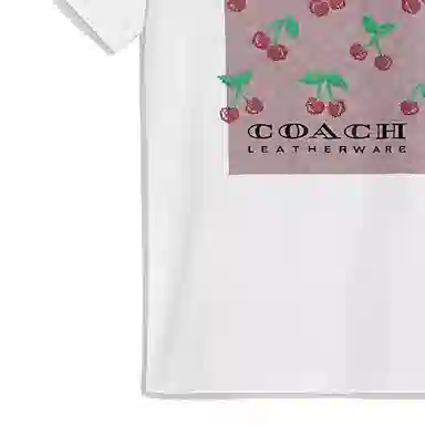 COACH T