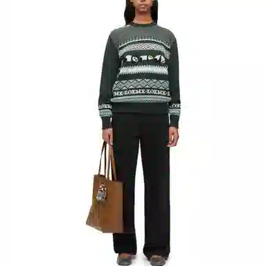 LOEWE Sweater In Wool