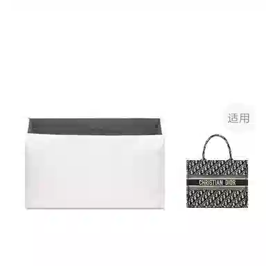 FANJI DIOR BookMini