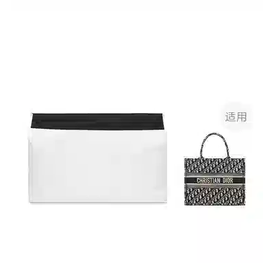 FANJI DIOR BookMini
