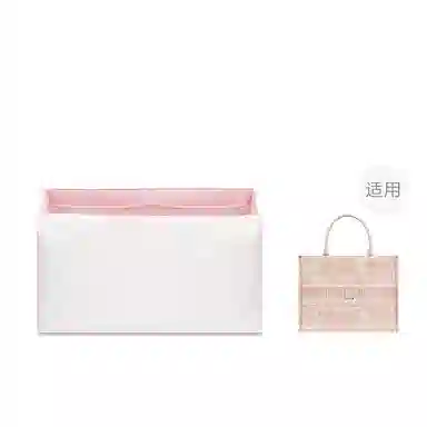 FANJI DIOR BookMini