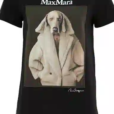 MaxMara T