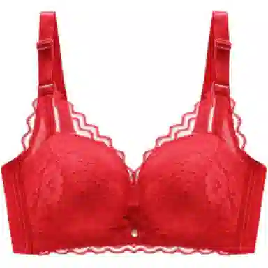 北极绒 小胸聚拢收副乳防下垂提拉调整型蕾丝无钢圈文胸 女款