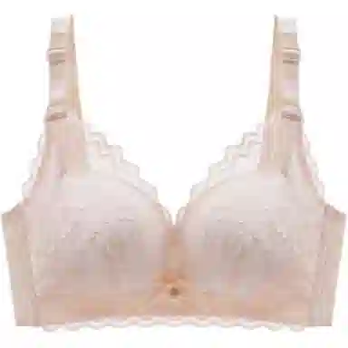 北极绒 小胸聚拢收副乳防下垂提拉调整型蕾丝无钢圈文胸 女款