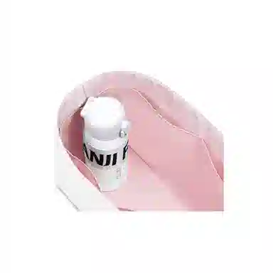 FANJI DIOR BookMini