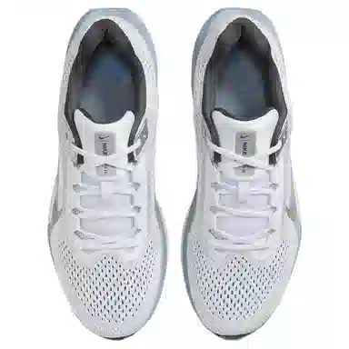 Nike Winflo 11 White